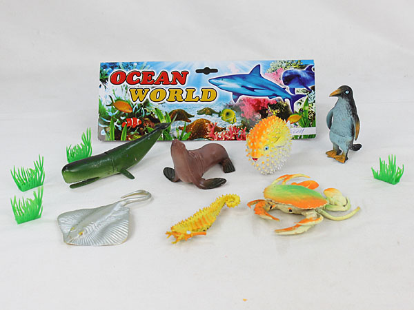 Marine animals