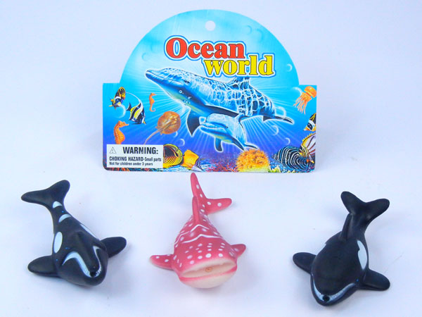 Marine animals