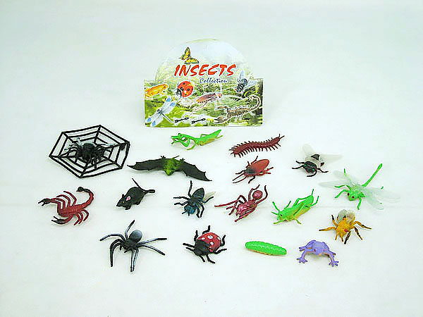 insects