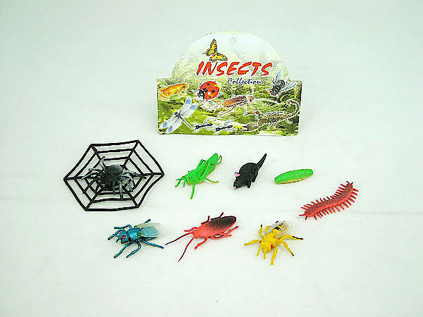 insects