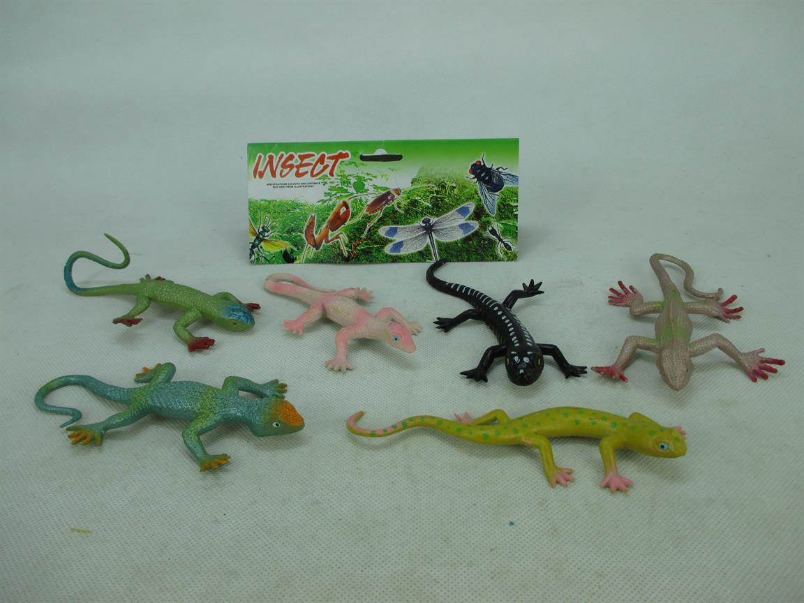 A lizard