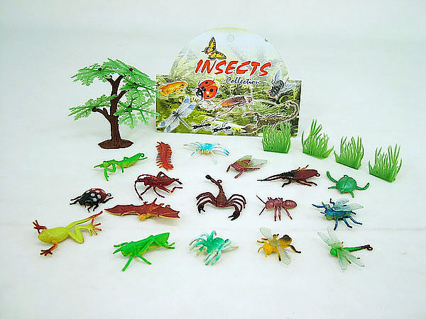 insects