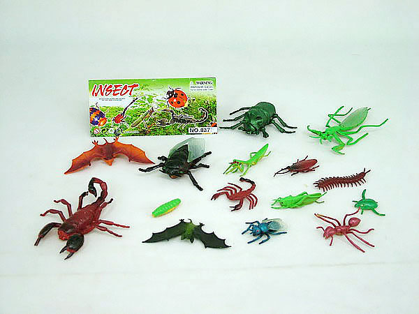 insects