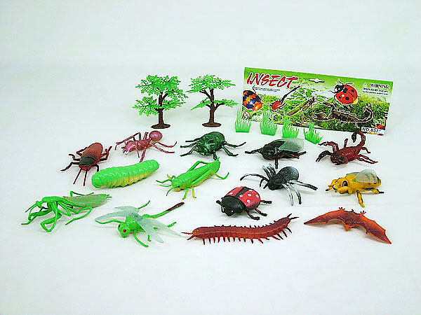 insects