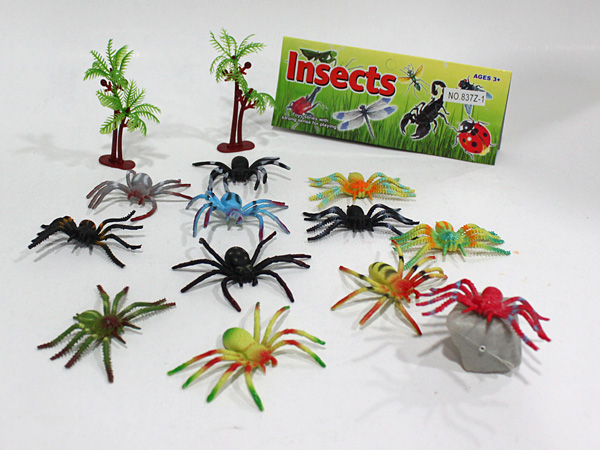 Insects