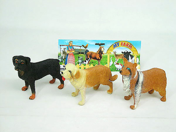 pet dog
