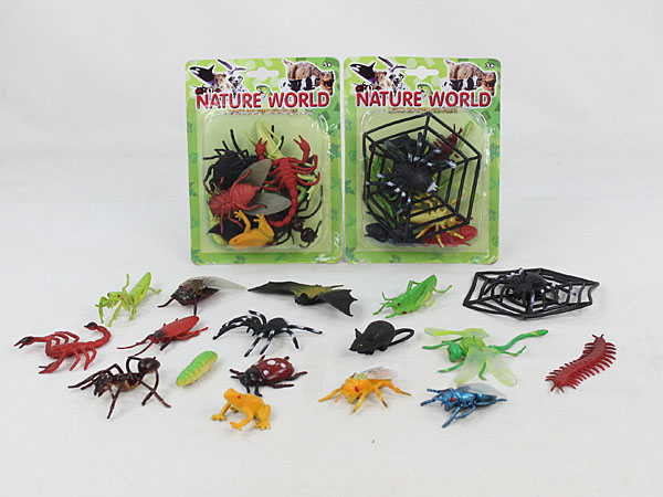 Insects
