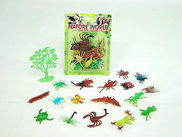 Insects