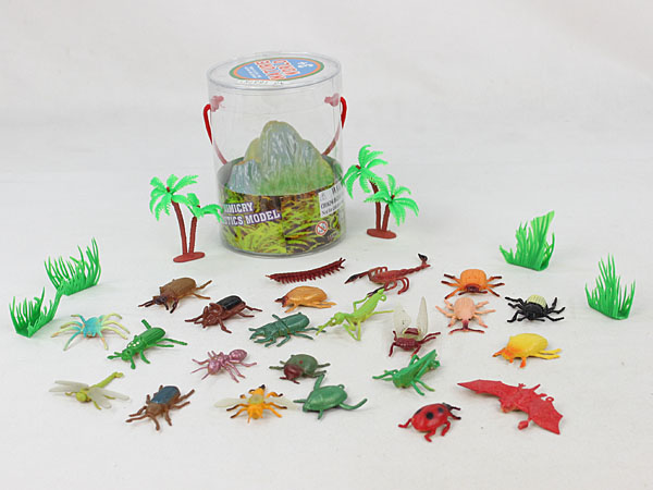 insects