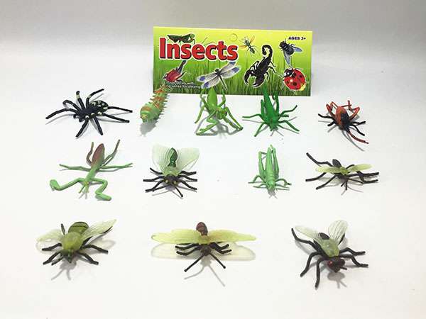 Insects