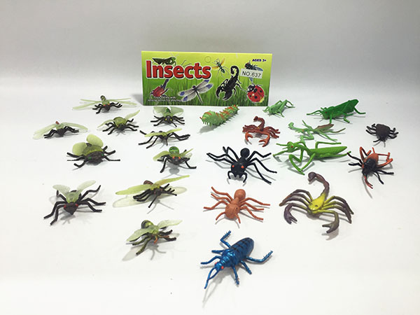 Insect
