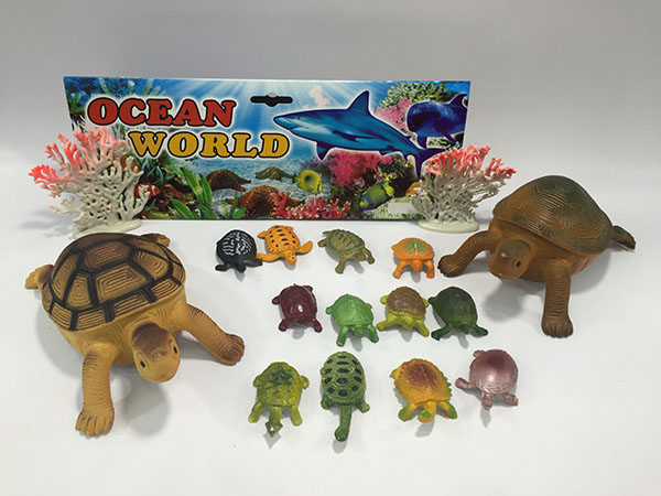 Tortoise