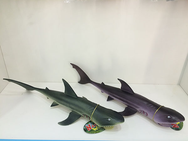 Shark