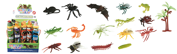insects