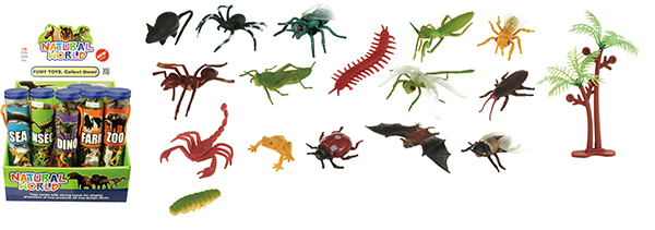 Insects