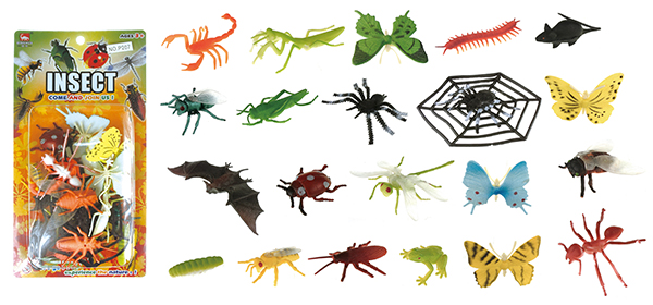 Insects