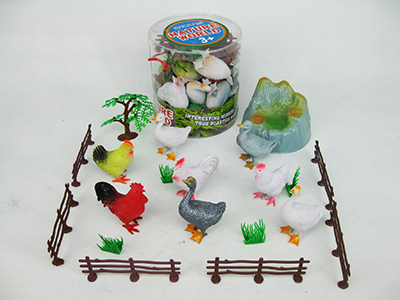poultry
