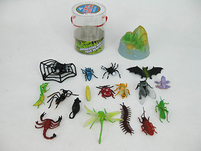 Insects