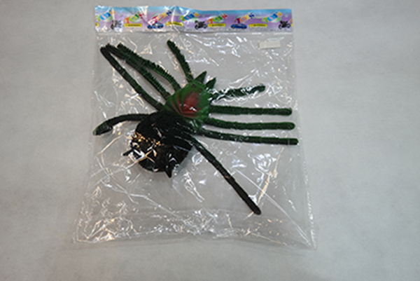 spider