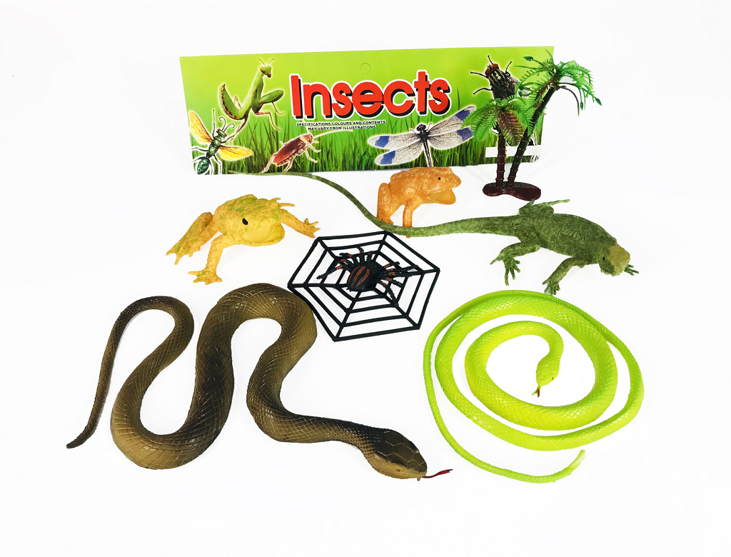 Reptiles & Insects