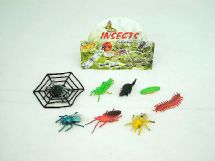 insects