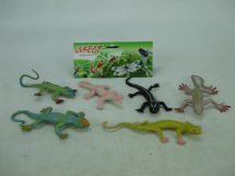 A lizard