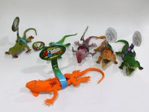 insects