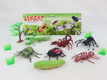 insects
