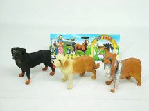 pet dog