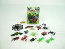 insects