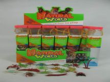 Insect world