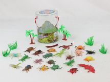 insects