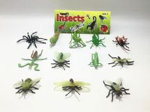 Insects