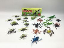 Insect