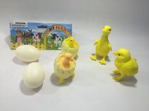poultry