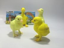 poultry