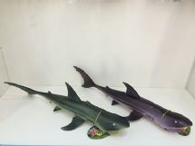 Shark