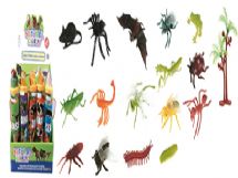 insects