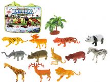Animal