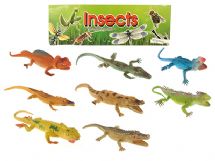 Lizards