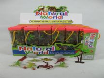 Insect