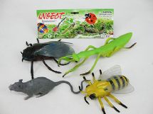 insects